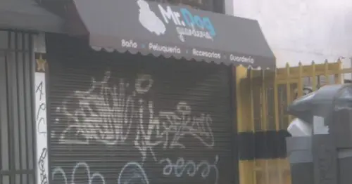 MR DOG GUARDERIA CANINA MR DOG GUARDERIA CANINA